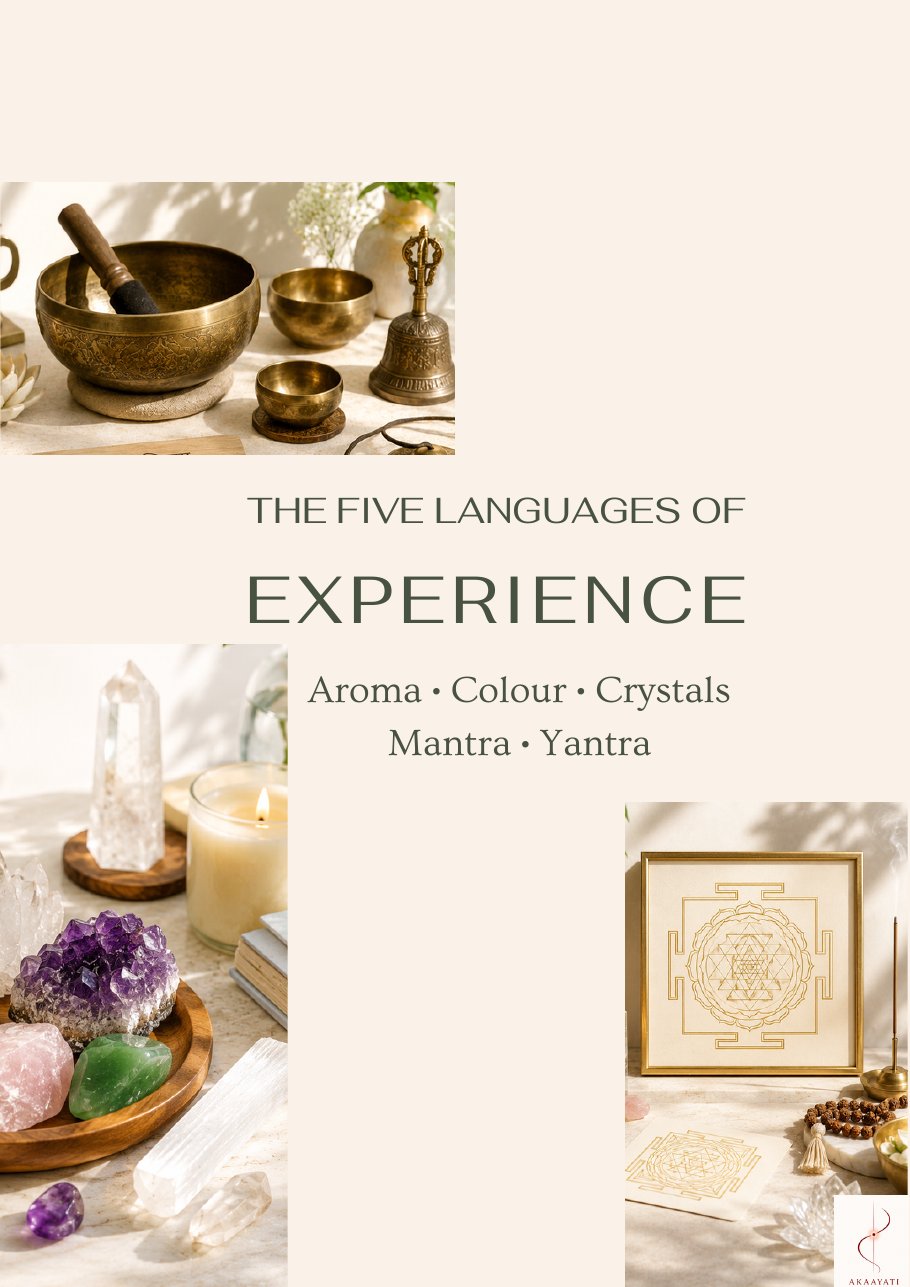 Cover of The Five Languages of Experience